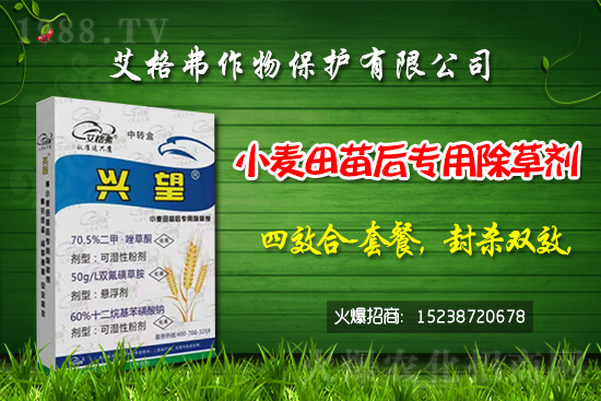 除草劑原藥價(jià)格2021年3月16日
