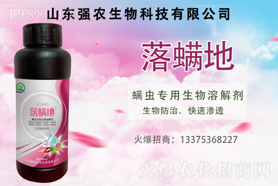 紅蜘蛛、白蜘蛛、黃蜘蛛用什么打？綜合防治怎么做？