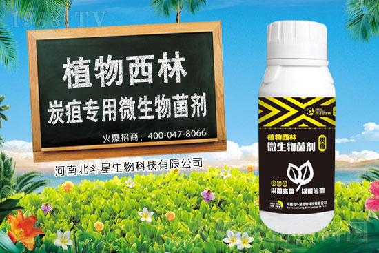 2021年3月18日農(nóng)藥價(jià)格快訊