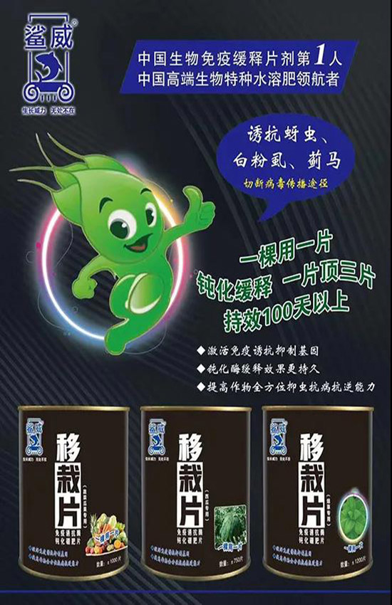 作物移栽時(shí)，怎么做能有效避免蟲害呢？