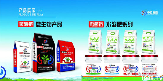 “菜無味、瓜不甜、果不香”是化肥惹的禍？