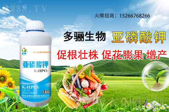 3�·��m�ϷNֲʲôˎ������Щˎ�ķNֲǰ������ٍ�X