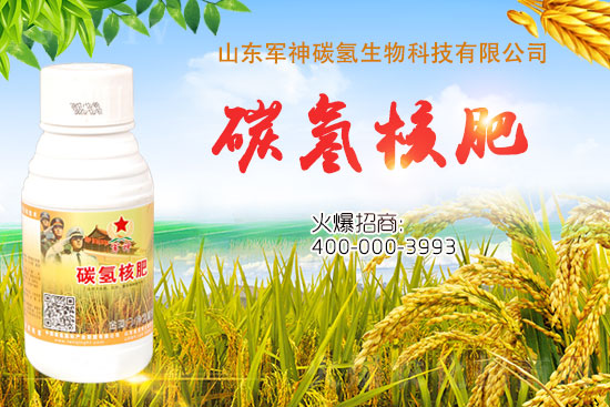 ̼��˷���ʲô�ʣ���ʲôЧ���@ô����