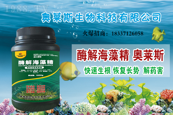 大豆價(jià)格還會上漲嗎？今日大豆價(jià)格行情