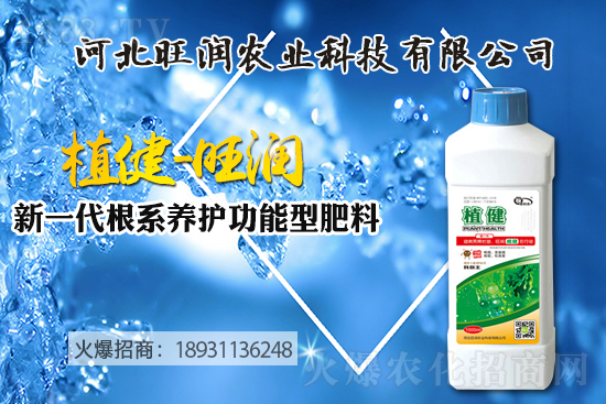 �{(l��n)ݮ������ô�Nֲ���{(l��n)ݮ����ķNֲ���޼����ݼ��g(sh��)��