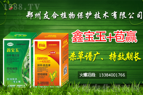 除草劑價(jià)格快訊2021年4月28日
