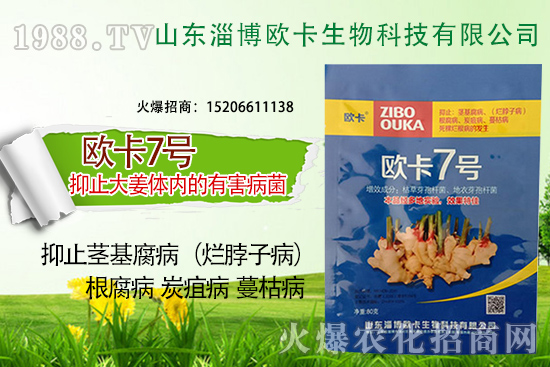 �W�������ٺ�1988.TV�����󌍬F��I(y��)�v�w����