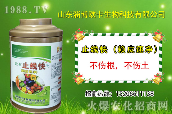 �W�������ٺ�1988.TV�����󌍬F��I(y��)�v�w����