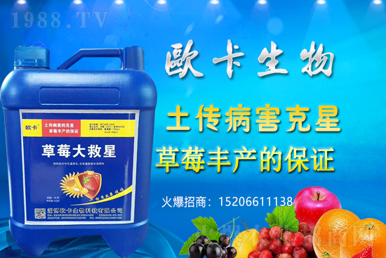 �W�������ٺ�1988.TV�����󌍬F��I(y��)�v�w����