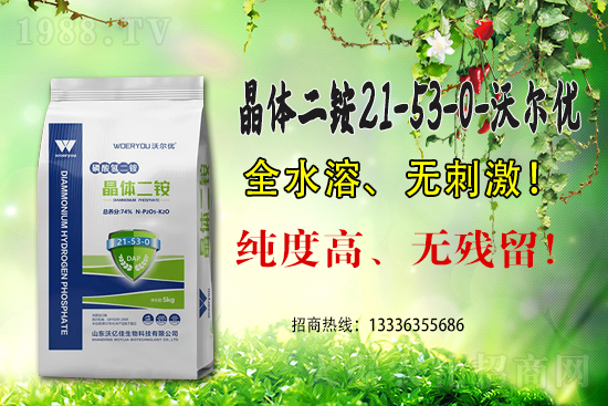 二銨高價，近期國內(nèi)磷銨價格行情日報（6月15）