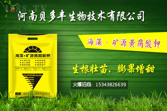 果樹黃化的原因是缺鐵嗎？果樹黃化噴施硫酸亞鐵怎么樣？