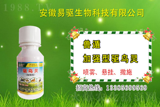 大雨或大水漫灌過后，玉米粉籽、爛種、爛苗怎么辦？