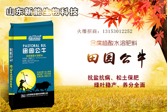 鉀肥高位運行，2021年6月18日國內(nèi)鉀肥價格行情