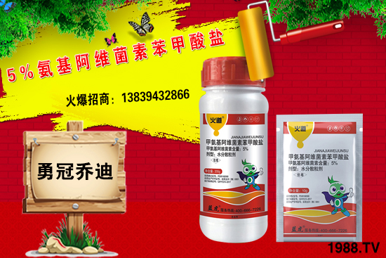 合作升級，勇冠喬迪（藍(lán)虎）再簽1988.TV，共創(chuàng)新輝煌！