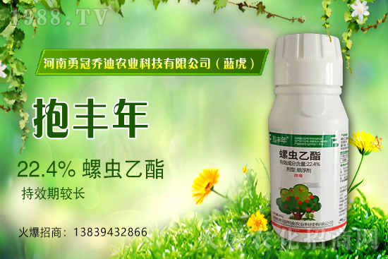 合作升級，勇冠喬迪（藍(lán)虎）再簽1988.TV，共創(chuàng)新輝煌！