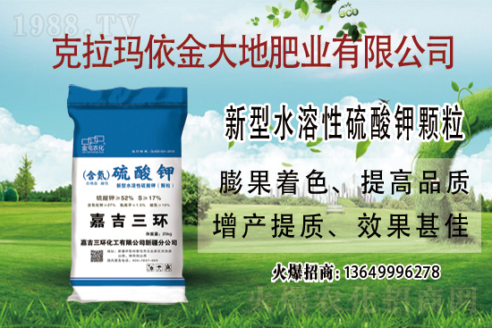 2021.6.2���ڇ���(n��i)⛷ʃr���߄ݷ���