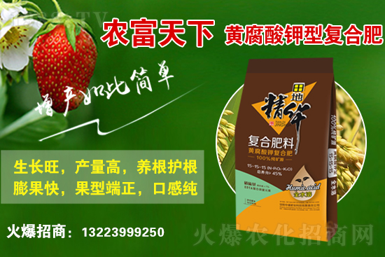 復合肥市場行情分析，2021年6月25日化肥市場價格行情