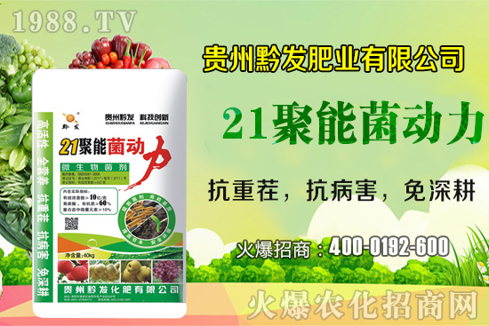黔發(fā)肥業(yè)再度攜手1988.TV，攜手打造招商奇跡！
