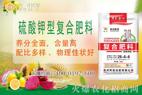 黔發(fā)肥業(yè)再度攜手1988.TV，攜手打造招商奇跡！