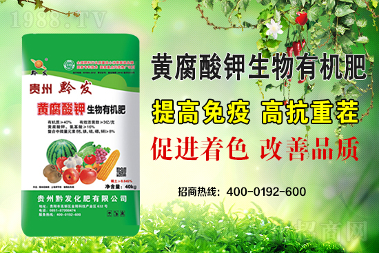 黔發(fā)肥業(yè)再度攜手1988.TV，攜手打造招商奇跡！