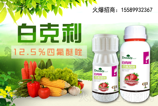 德國(guó)東利續(xù)約1988.TV！戰(zhàn)略合作關(guān)系再上新臺(tái)階！