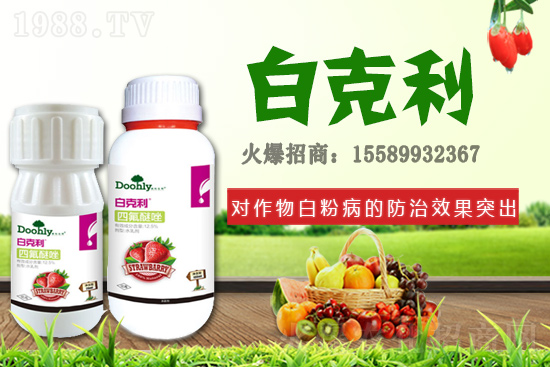 德國(guó)東利續(xù)約1988.TV！戰(zhàn)略合作關(guān)系再上新臺(tái)階！