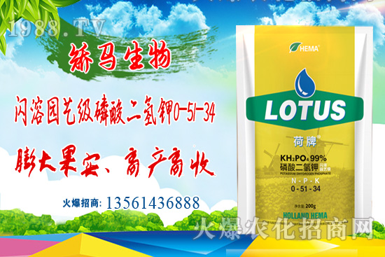 2021��6��8�Շ���⛷ʃr�������߄�