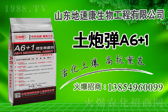    合作關(guān)系再升華，山東地速康與1988.TV開啟新篇章！