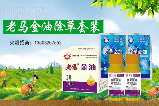 草甘膦價格創(chuàng)新高，2021年7月15日草甘膦價格走勢