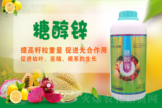 ����a�\�����Ǵ��\���Ǵ��\���ö�����Щ��