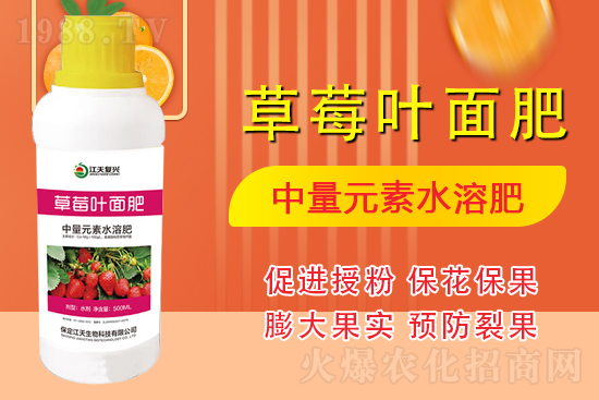 合作發(fā)展，共創(chuàng)未來，江天生物簽約1988.TV，共創(chuàng)新輝煌！