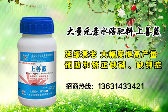 廣州市先益農(nóng)再度攜手1988.TV，攜手共創(chuàng)新戰(zhàn)績！