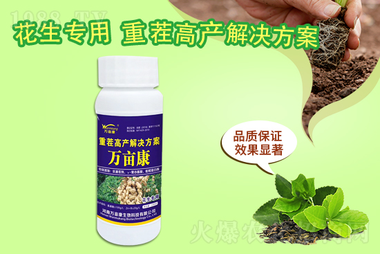 二銨暫穩(wěn)為主，20219月10日磷銨價(jià)格行情報(bào)價(jià)