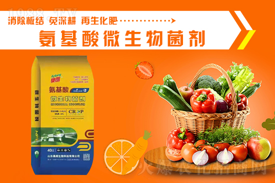 今日復合肥價格行情走勢2021年9月11日