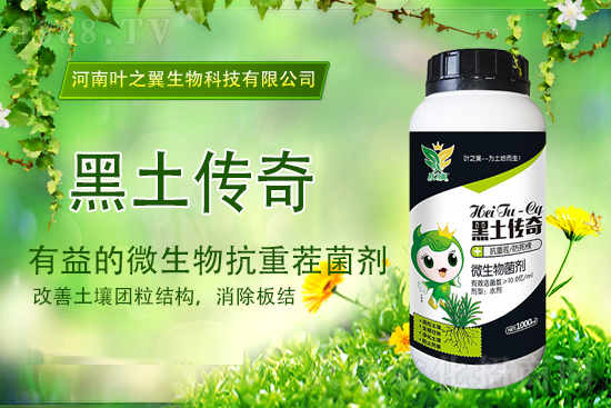 今日尿素報價，2021年9月15日國內(nèi)各地尿素價格行情