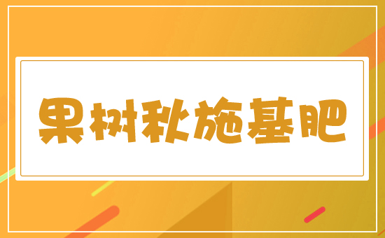 ����(sh��)ʩ��