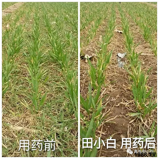 С���s������(ji��)��(ji��)�����E�ɞ�(z��i)����ô�k��С�����݄���ô�x