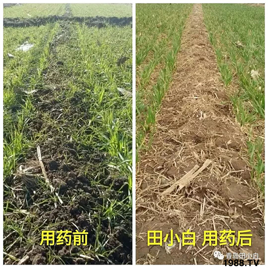 С���s������(ji��)��(ji��)�����E�ɞ�(z��i)����ô�k��С�����݄���ô�x