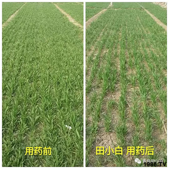 С���s������(ji��)��(ji��)�����E�ɞ�(z��i)����ô�k��С�����݄���ô�x