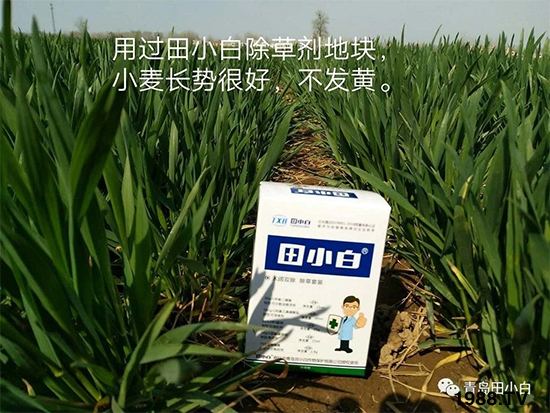 С���s�ݣ���(ji��)��(ji��)�����E�ɞ�(z��i)����ô�k��С�����݄���ô�x