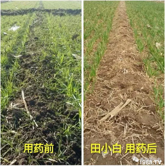 ��(ji��)��(ji��)��Σ����(y��n)����ô������ʲôˎ��Ч���ã�