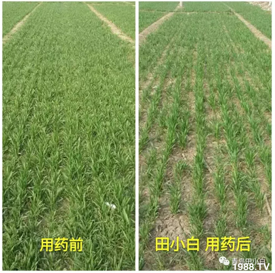 ��(ji��)��(ji��)��Σ����(y��n)����ô������ʲôˎ��Ч���ã�