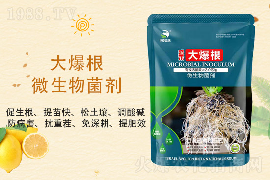 二銨價格持穩(wěn)，2021年9月3日磷銨價格行情分析