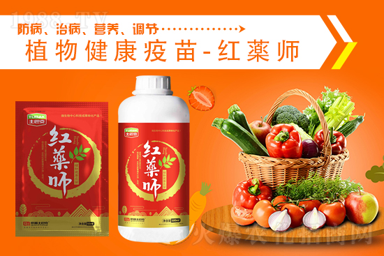 二銨價格高位堅挺，2021.9.4今日磷銨價格行情：