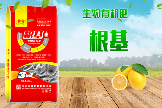 2021年9月9日鉀肥價(jià)格行情早報(bào)