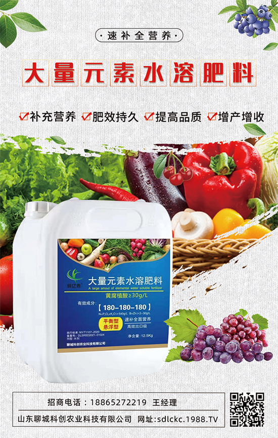 山東聊城科創(chuàng)再簽1988.TV，共謀合作促雙贏！