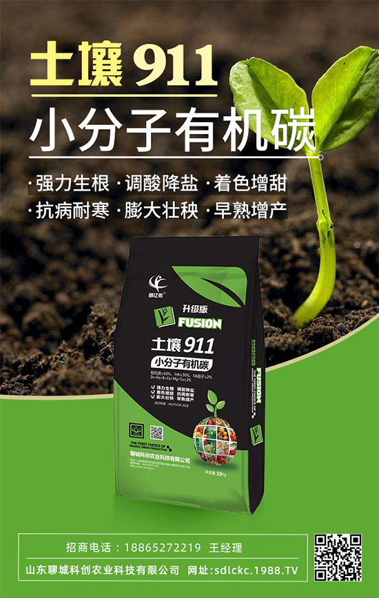 山東聊城科創(chuàng)再簽1988.TV，共謀合作促雙贏！