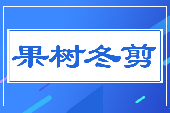 果樹冬剪