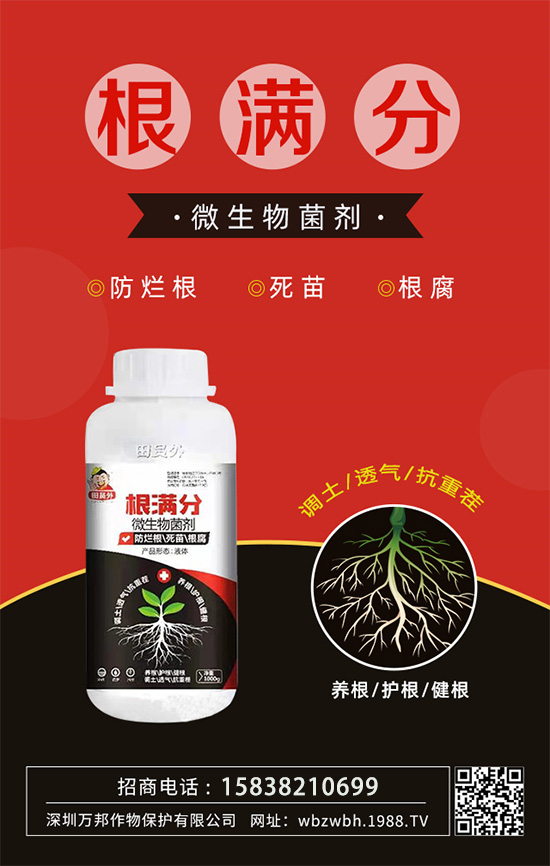 作物死苗爛根多，發(fā)育不良怎么辦！如何拯救作物根系？