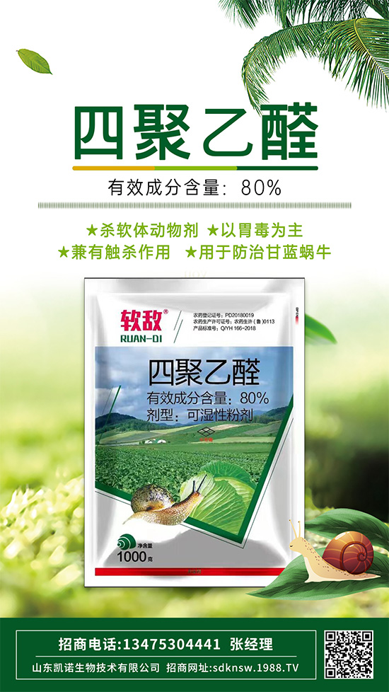 防治蔬菜蝸牛，四聚乙醛這樣使用，殺蟲效果沒得說！